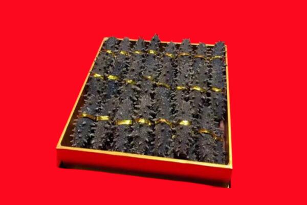台南市回收海参